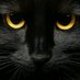MiauMiau3.0 (@miaumiau3dot0) Twitter profile photo MiauMiau3.0 (@miaumiau3dot0) Twitter profile photo