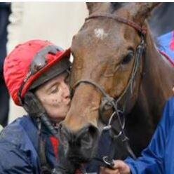 Cheltenham Festival fanatic tracking news, tips and bookmaker offers in run up to greatest show on turf