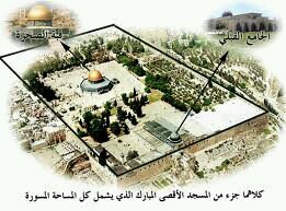 أنتمي لأعظم أمة.. مصدرها الكتاب والسنة ودليلها الثالث الإجماع
لا أنتمي لأي حزب أو طائفة.. أكره التصنيف