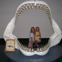 addieholdren's profile picture. 