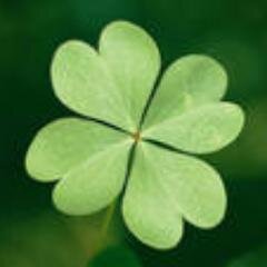 vipvodu Profile Picture