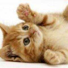 timbeta167's profile picture. 