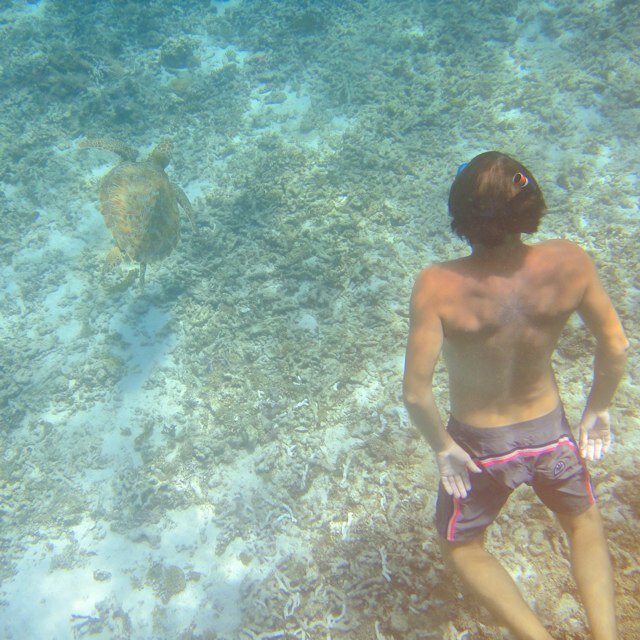 kodoma1001's profile picture. 