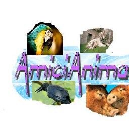 Seguici sul nostro sito!