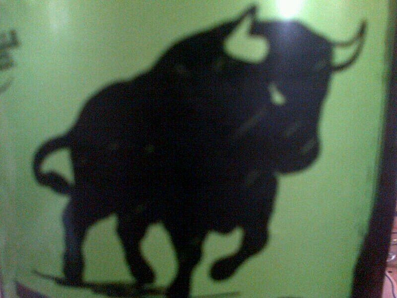 Toro Rosso