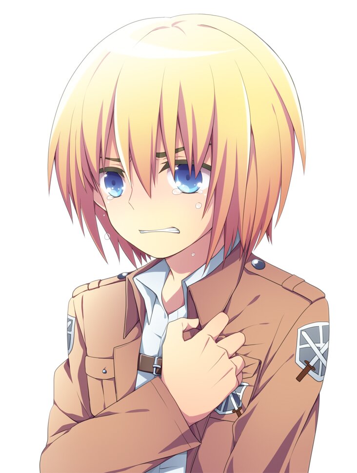 scouting legion / rank 5 / girl