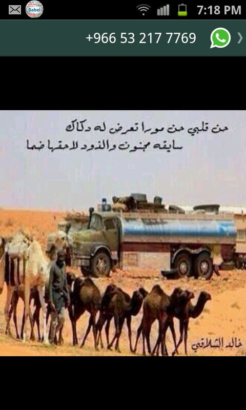 MohammxfadXfxf's profile picture. 