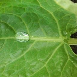 guylherzig's profile picture. M.A. in Counseling Psychology, Trauma and crisis intervention at TCSPP. M.S. Clinical Psychology, Intercultural Psychology at Université de Strasbourg.