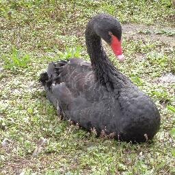 懸賞応募にハマってます！同じ趣味の人仲良くしてください！