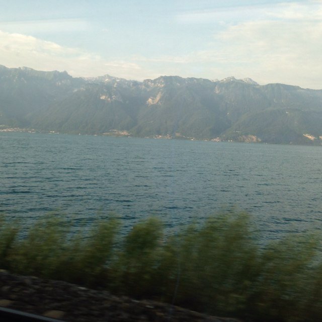 Blog