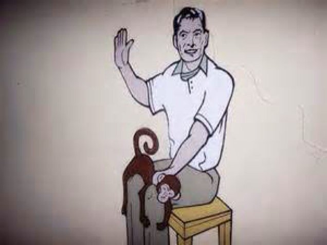 Spank dat monkey for the Remarkable, very Spank dat monkey excited