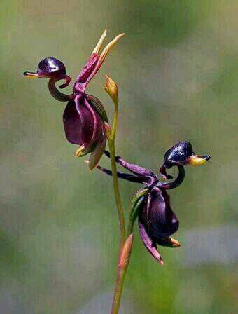 life is precious, so celebrate each moment