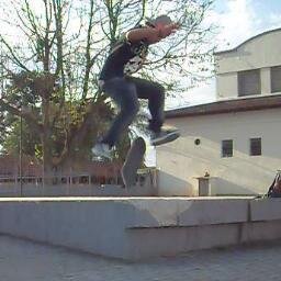 Tenis Mole Lixa Dura Tanto Flipa Ate Que Fura/     

Skate Or Die Mother Fuckers
