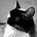 Angel Abby Grace (@manxmnews) Twitter profile photo Angel Abby Grace (@manxmnews) Twitter profile photo