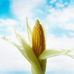 Agricultural Monthly Video Magazine...