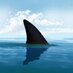 sharkwithablog (@sharkwithablog) Twitter profile photo sharkwithablog (@sharkwithablog) Twitter profile photo