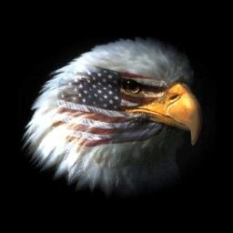 Armed Forces Sports Profile