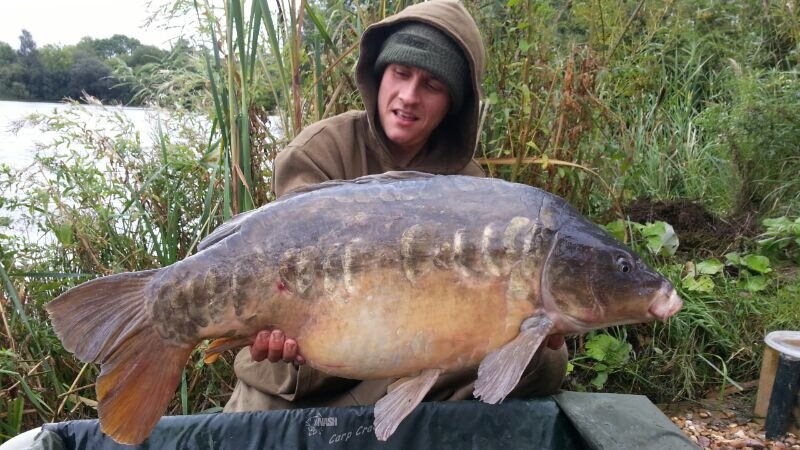 caff_caffers's profile picture. 