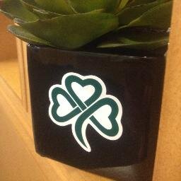 All things Wellness at SHC.