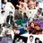 Profile Picture of ❤️READ BIO❤ (@@NieNie_Grant) on Twitter