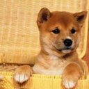 Bailey Hobbs - @doryamber - Twitter