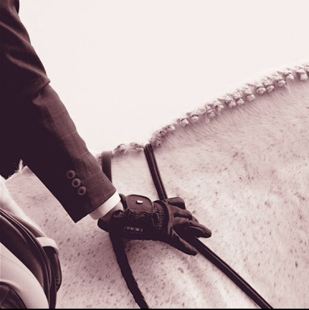 eqscuseme's profile picture. I keep it 1 hunna percent real *avi not me* *header is my trainer*