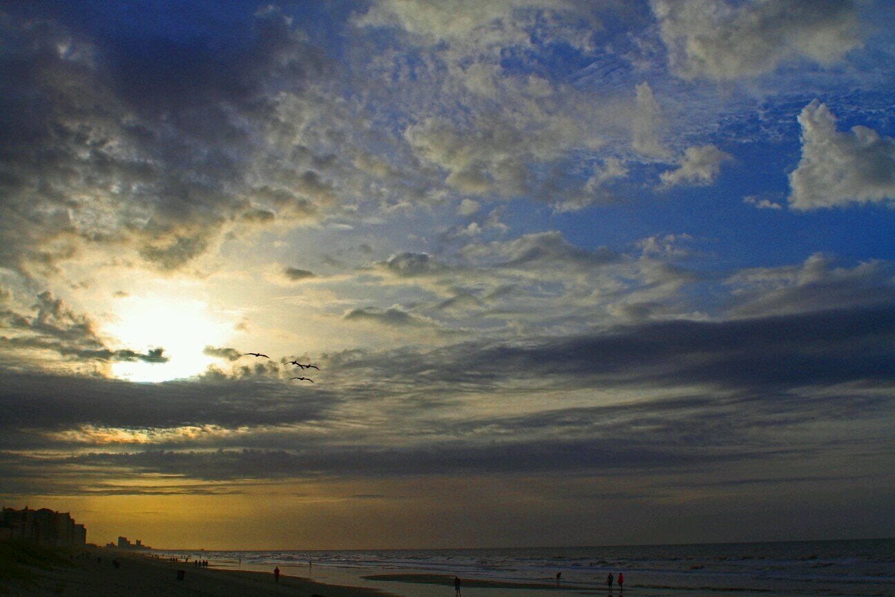 1CheerPaparazzi's profile picture. 