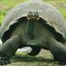 Conservation Biology (@conbiology) Twitter profile photo Conservation Biology (@conbiology) Twitter profile photo