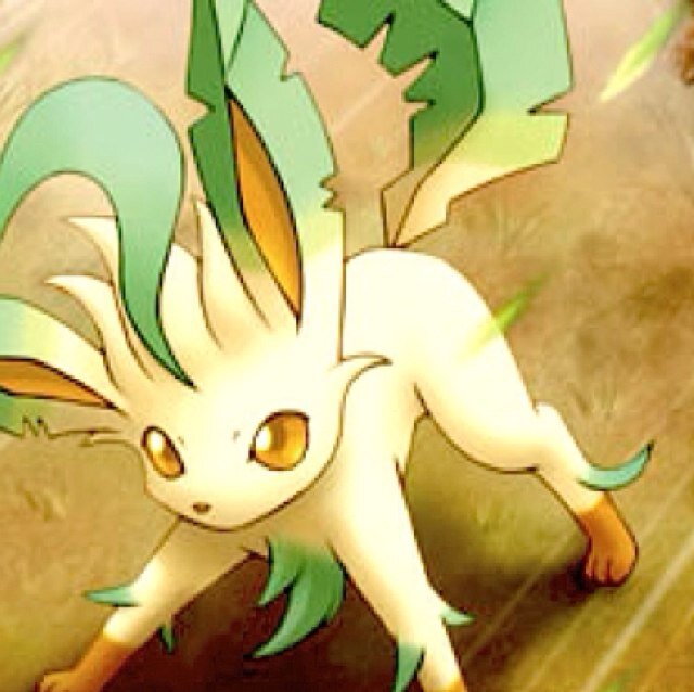 Hey im Lea The Leafeon! #Female #RP #RP18 #Bisexual #Taken by @SexyAquaTail Im a friend to anyone who treats me the way I would treat them. Love ya ~Lea
