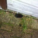 kenneth (@023willemappel) Twitter