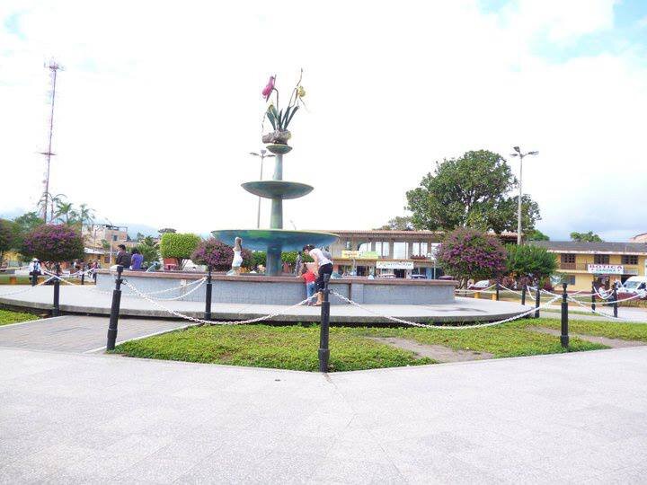 najeansropa's profile picture. 