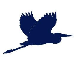 Financial education and services firm providing alternative investment options and wealth plans. Ask us about self directed investing!