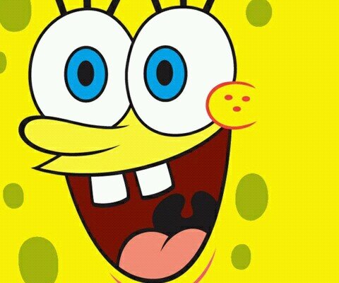FOR LOL TWEETS