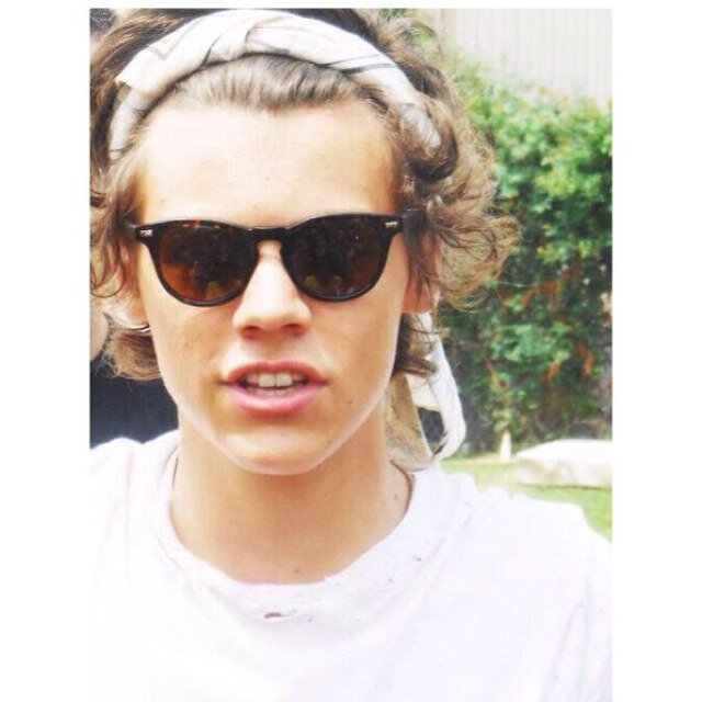 @harryappeal