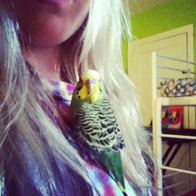 d_tweety's profile picture. hello peoples