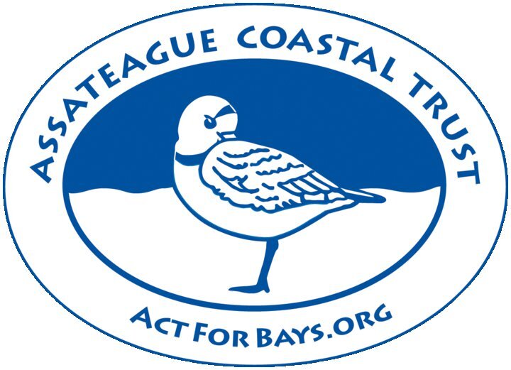 ACT4Bays's profile picture. ACT works to encourage the protection & sustainability of the Delmarva coastal bays watershed through advocacy, education & conservation.