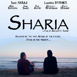 A couple from different cultural backgrounds; a Muslim man wanting to live an American life,an American woman wanting to live a Muslim life... it's complicated!