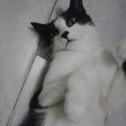 @madalenemattos ME SIGAM QUE SIGO A TODOS DE VOLTA NUMA BOA