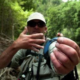 Professional Fly Fishing Guide