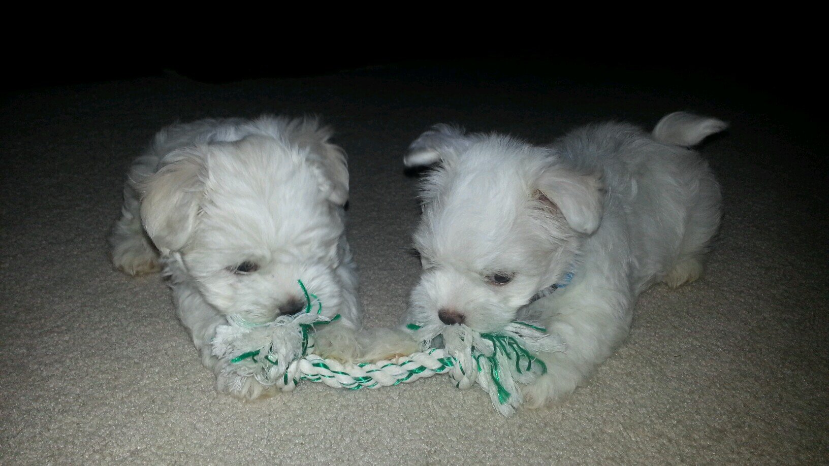 jgordon747's profile picture. 