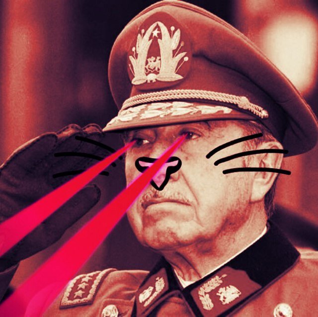 Persona de bien 
-No se por que existe la pobreza.
-Primero gordo que viviendo en Manquehue 
-Me preocupo por los demas