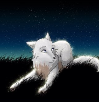 Im a playful,kind and friendly female wolf.(Shape shifter).Mom:@solo123458637o dad: @icewold1200 Bro:@Wolf1_Blaze Sis:@SunSunnyDragon