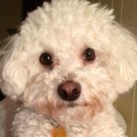 Mary-Lynn McCann (@marylynnm8) Twitter profile photo