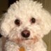 Mary-Lynn McCann (@marylynnm8) Twitter profile photo