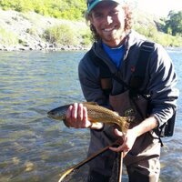 Nick Bolinder (@nickyb3434) 's Twitter Profile