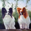 Nicholas Forbes - @Dreampaps - Twitter