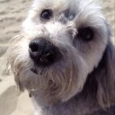 Marla Henderson - @sandy_henderson - Twitter