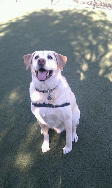 Wizardry777's profile picture. I am a born again Christian saved by grace. I love fellowship,  bible reading and duplicate bridge.