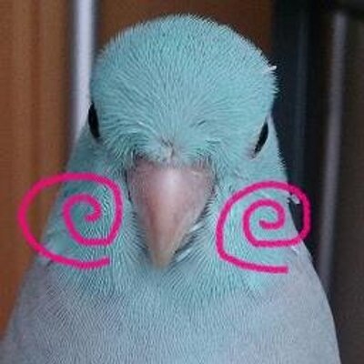 ロビン