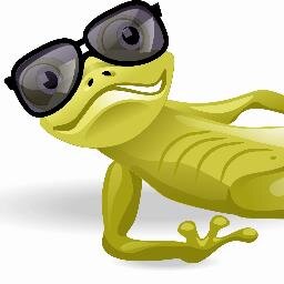 Cool Urban Gecko bringing foam to life